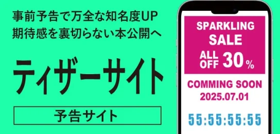 ティザーサイト